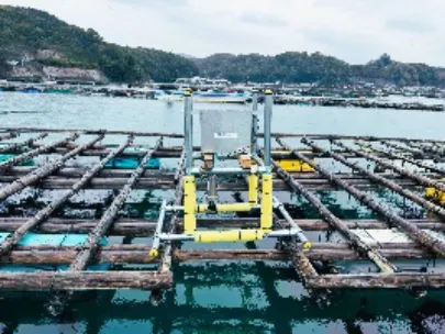 Ocean Policy Division, Policy Bureau, MLIT
